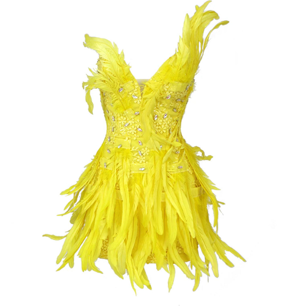 Crystal Feathers Mini Dress