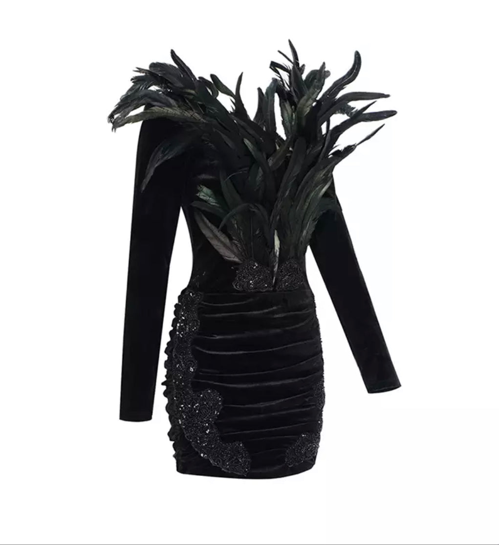 Black Velvet Feathers Mini Dress