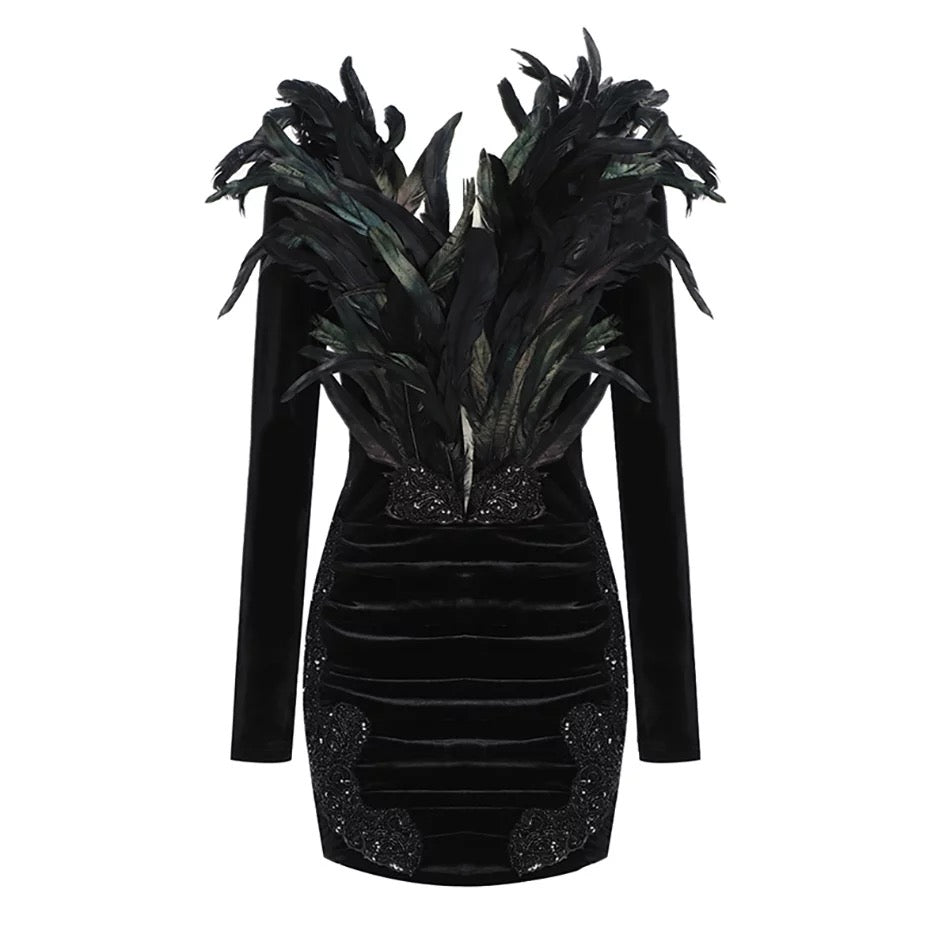 Black Velvet Feathers Mini Dress