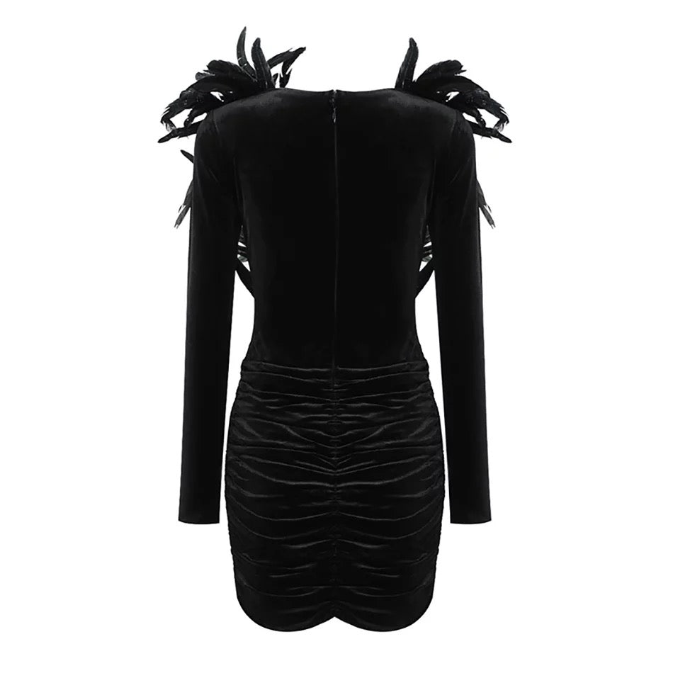 Black Velvet Feathers Mini Dress